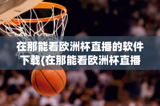 在那能看欧洲杯直播的软件下载(在那能看欧洲杯直播的软件下载)