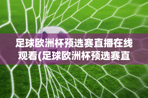 足球欧洲杯预选赛直播在线观看(足球欧洲杯预选赛直播在线观看高清)