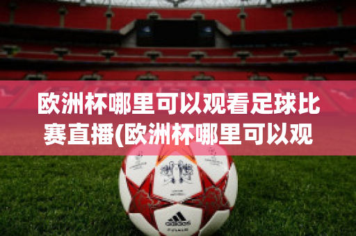 欧洲杯哪里可以观看足球比赛直播(欧洲杯哪里可以观看足球比赛直播回放)