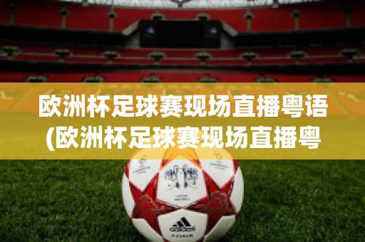 欧洲杯足球赛现场直播粤语(欧洲杯足球赛现场直播粤语视频)