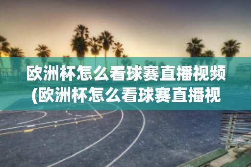 欧洲杯怎么看球赛直播视频(欧洲杯怎么看球赛直播视频的)