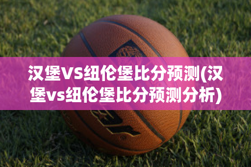 汉堡VS纽伦堡比分预测(汉堡vs纽伦堡比分预测分析)