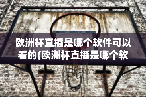 欧洲杯直播是哪个软件可以看的(欧洲杯直播是哪个软件可以看的视频)