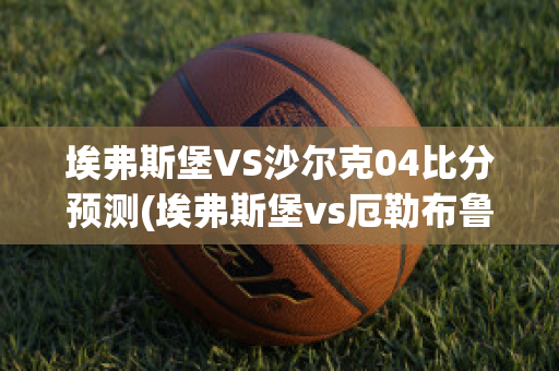 埃弗斯堡VS沙尔克04比分预测(埃弗斯堡vs厄勒布鲁比分)