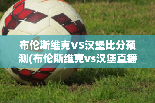 布伦斯维克VS汉堡比分预测(布伦斯维克vs汉堡直播)