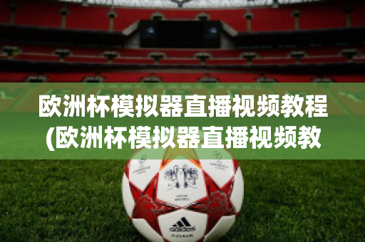 欧洲杯模拟器直播视频教程(欧洲杯模拟器直播视频教程大全)