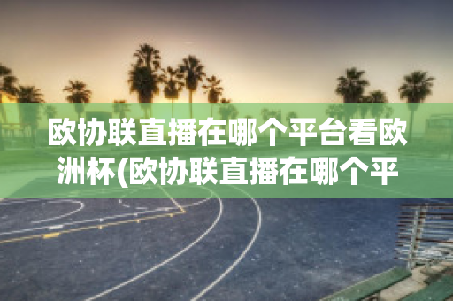 欧协联直播在哪个平台看欧洲杯(欧协联直播在哪个平台看欧洲杯比赛)