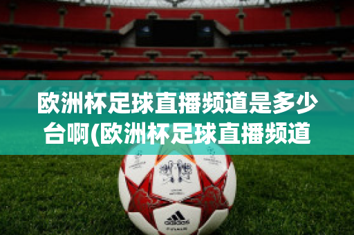 欧洲杯足球直播频道是多少台啊(欧洲杯足球直播频道是多少台啊电视)