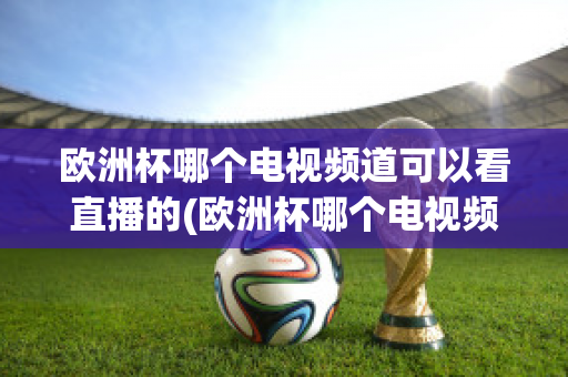 欧洲杯哪个电视频道可以看直播的(欧洲杯哪个电视频道可以看直播的)