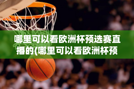 哪里可以看欧洲杯预选赛直播的(哪里可以看欧洲杯预选赛直播的app)