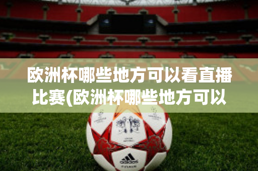 欧洲杯哪些地方可以看直播比赛(欧洲杯哪些地方可以看直播比赛回放)