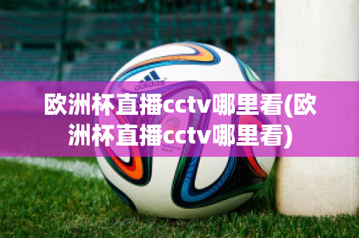 欧洲杯直播cctv哪里看(欧洲杯直播cctv哪里看)