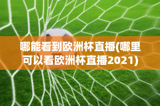 哪能看到欧洲杯直播(哪里可以看欧洲杯直播2021)