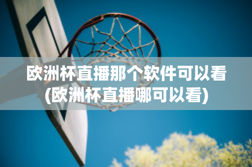 欧洲杯直播那个软件可以看(欧洲杯直播哪可以看)