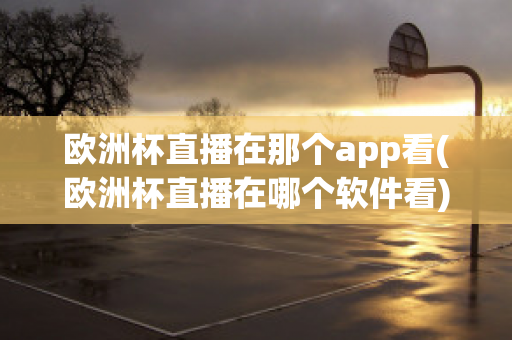 欧洲杯直播在那个app看(欧洲杯直播在哪个软件看)