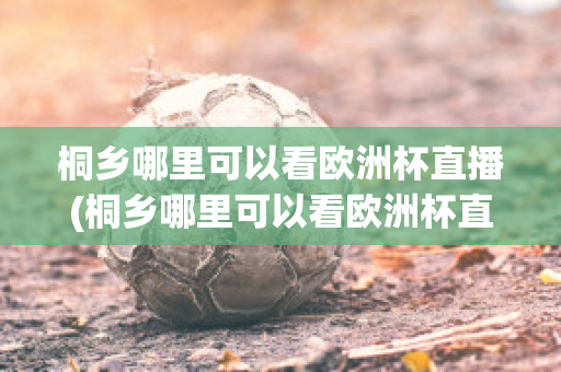 桐乡哪里可以看欧洲杯直播(桐乡哪里可以看欧洲杯直播的地方)