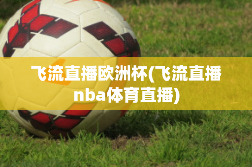 飞流直播欧洲杯(飞流直播nba体育直播)