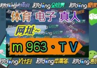 足球直播欧洲杯全局:足球直播欧洲杯全局回放