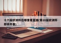 爱奇艺欧洲杯直播怎么没了:爱奇艺欧洲杯直播怎么没了呢