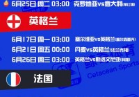 欧洲杯在哪个软件可以看直播的:欧洲杯在哪个软件可以看直播的软件