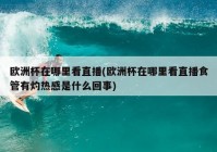 咪咕是否直播欧洲杯了:咪咕是否直播欧洲杯了呢