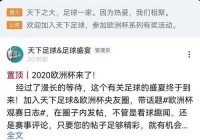 哪里可以看欧洲杯比赛直播平台:哪里可以看欧洲杯比赛直播平台的