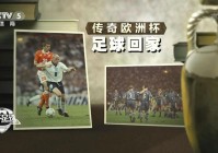 今年欧洲杯cctv直播不:今年欧洲杯cctv直播不播了