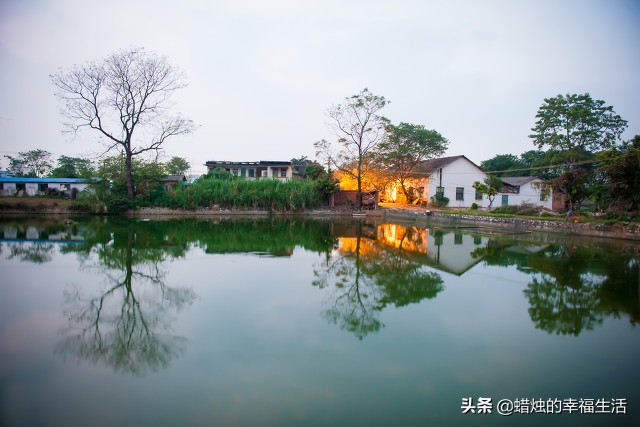 欧洲杯为何没直播:欧洲杯为何没直播了