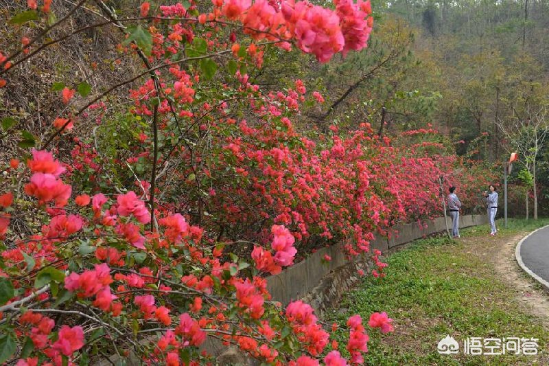 惠州欧洲杯直播平台官网:惠州欧洲杯直播平台官网入口