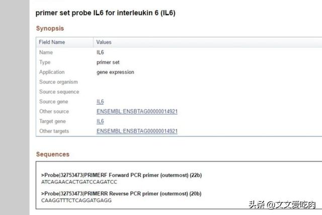 欧洲杯相关直播数据库建设:欧洲杯2021直播平台有哪些