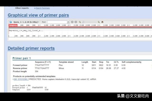 欧洲杯相关直播数据库建设:欧洲杯2021直播平台有哪些