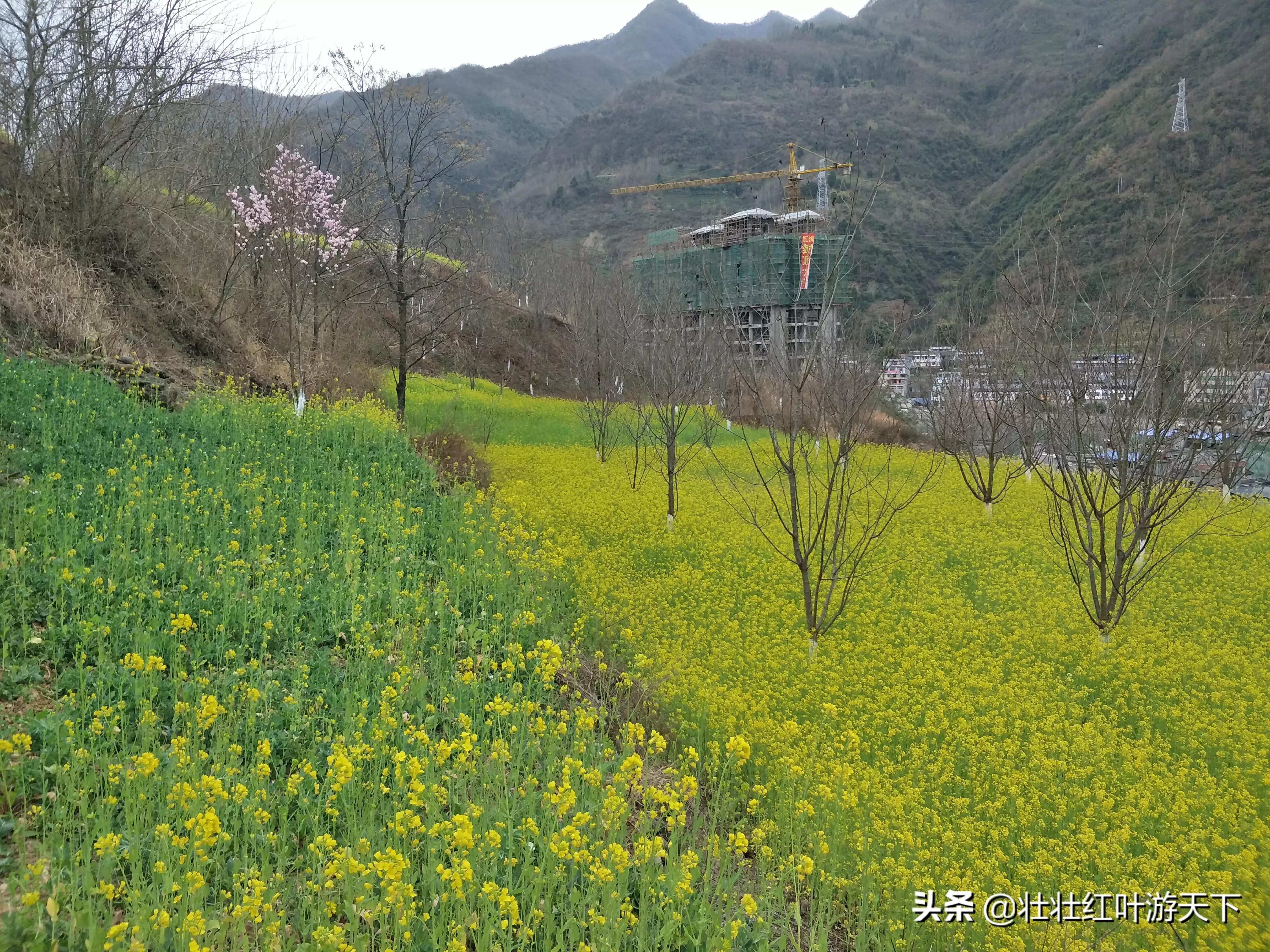 宁国哪里能看欧洲杯啊直播:宁国哪里能看欧洲杯啊直播的