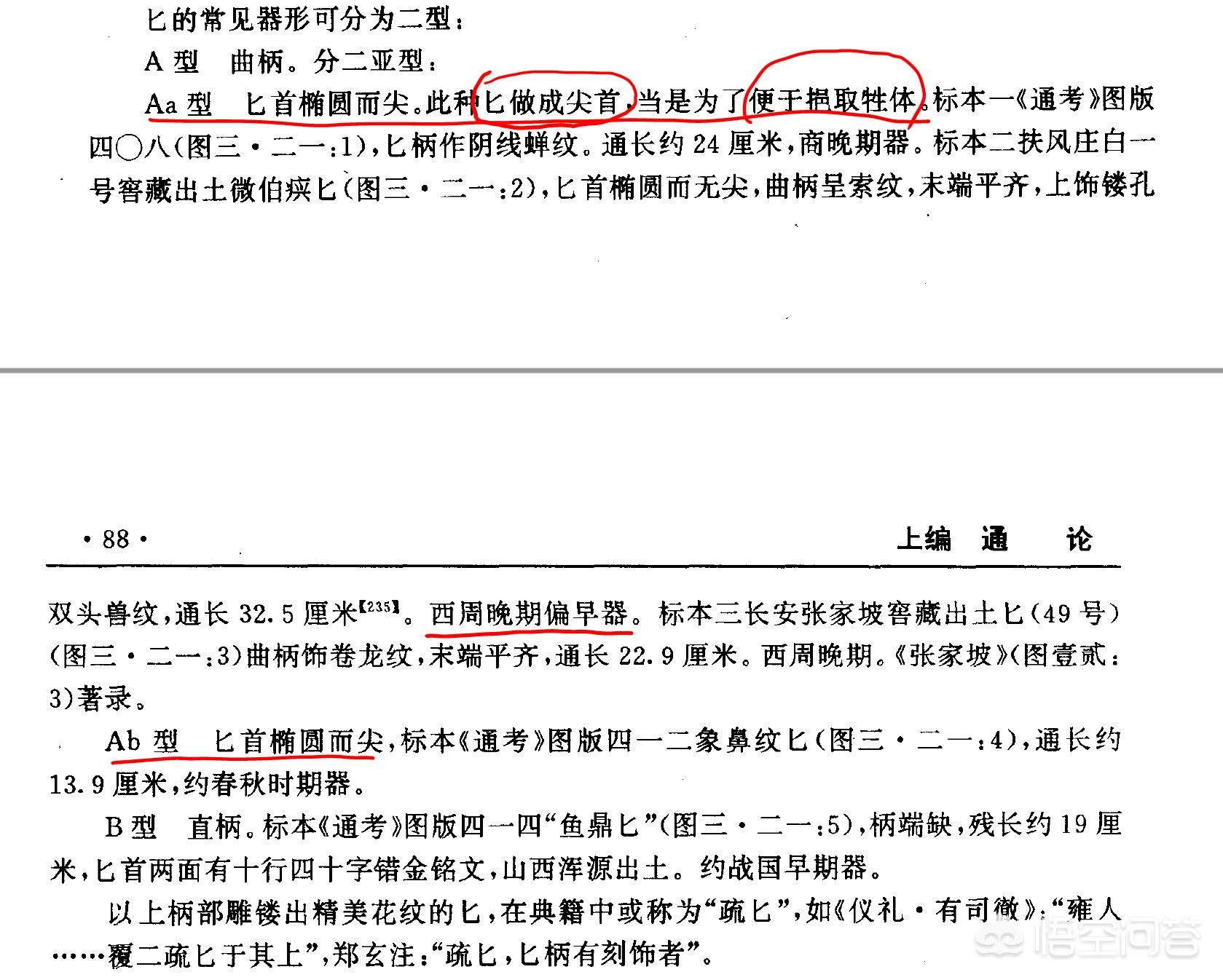 抓饭直播能看欧洲杯吗:抓饭直播能看欧洲杯吗