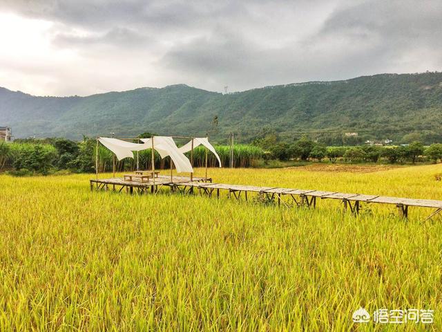 惠州欧洲杯直播时间:惠州欧洲杯直播时间表