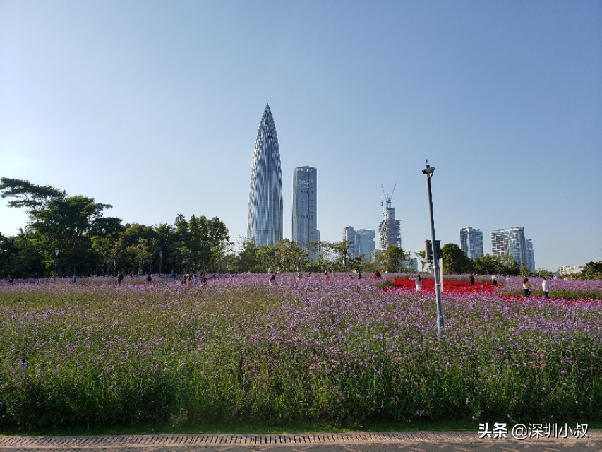 惠州欧洲杯直播时间:惠州欧洲杯直播时间表