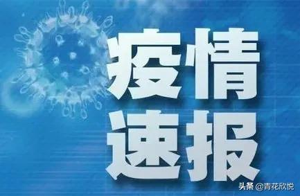 西安啥地方看欧洲杯的直播:西安啥地方看欧洲杯的直播啊