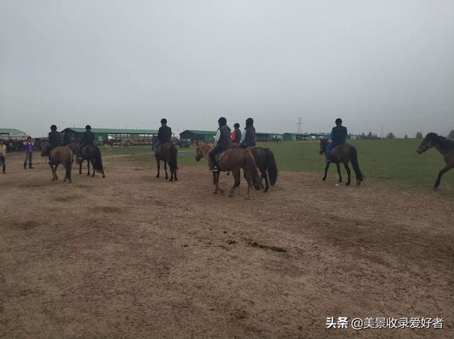 呼市看欧洲杯直播的地方:呼市看欧洲杯直播的地方在哪