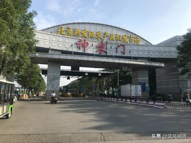 欧洲杯足球新闻发布会直播:欧洲杯足球新闻发布会直播视频