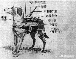 直播欧洲杯丹麦捷克:直播欧洲杯丹麦捷克比赛