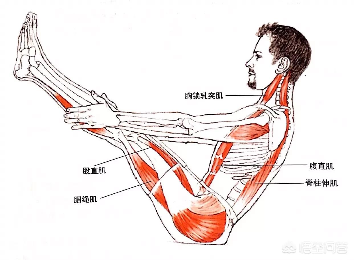 瑜伽教练薇薇直播欧洲杯:瑜伽教练薇薇初级入门