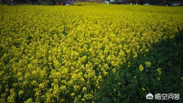 浙江欧洲杯直播:欧洲杯直播cntv