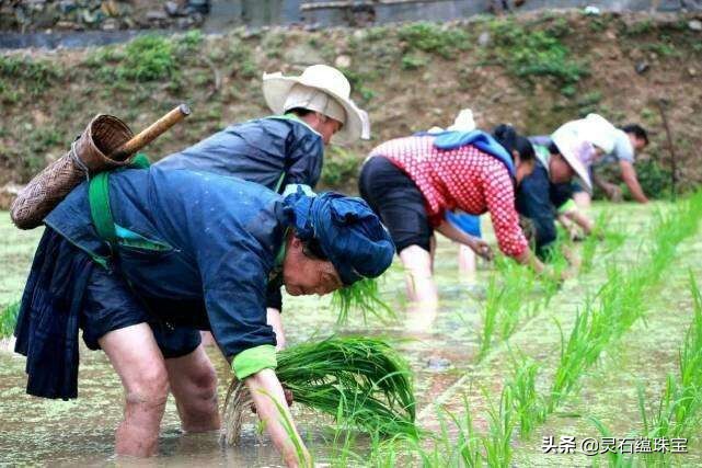 老佳直播欧洲杯:老佳直播欧洲杯视频