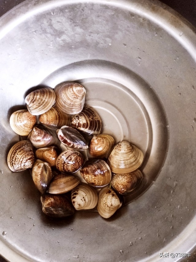 威海欧洲杯直播:威海欧洲杯直播平台