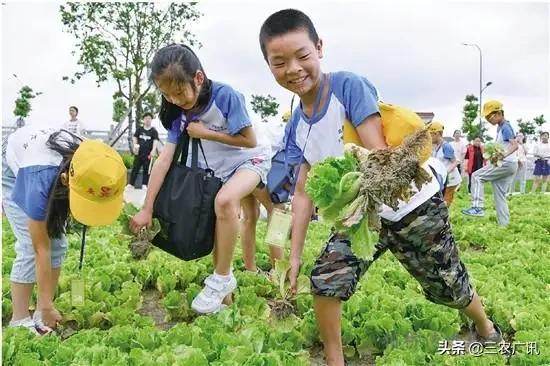 欧洲杯烤羊排直播在哪看:欧洲杯烤羊排直播在哪看的