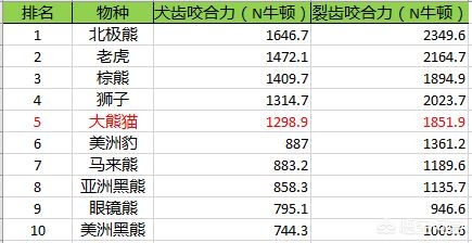 南陵看欧洲杯最新消息直播:南陵看欧洲杯最新消息直播在哪看