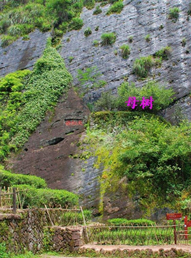 余姚哪有看欧洲杯直播的:余姚哪有看欧洲杯直播的地方