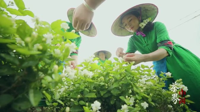 欧洲杯直播主题词:欧洲杯直播文字解说