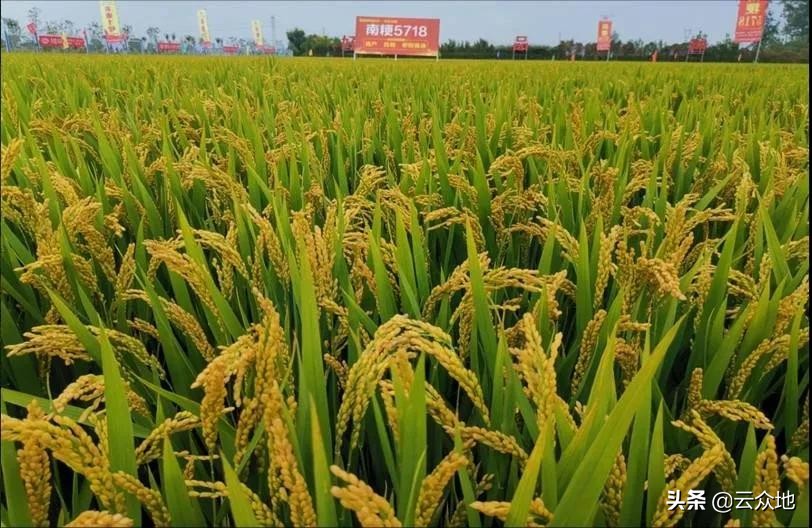 建湖哪里看欧洲杯直播:建湖哪里看欧洲杯直播比较好