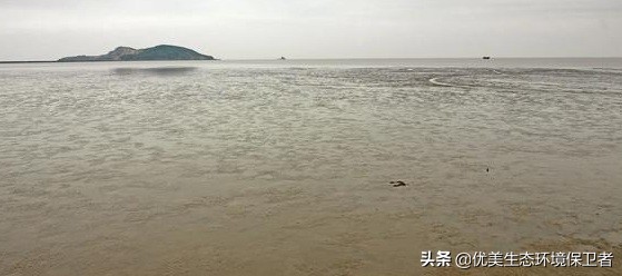 江阴哪能看欧洲杯直播比赛:江阴哪能看欧洲杯直播比赛的地方