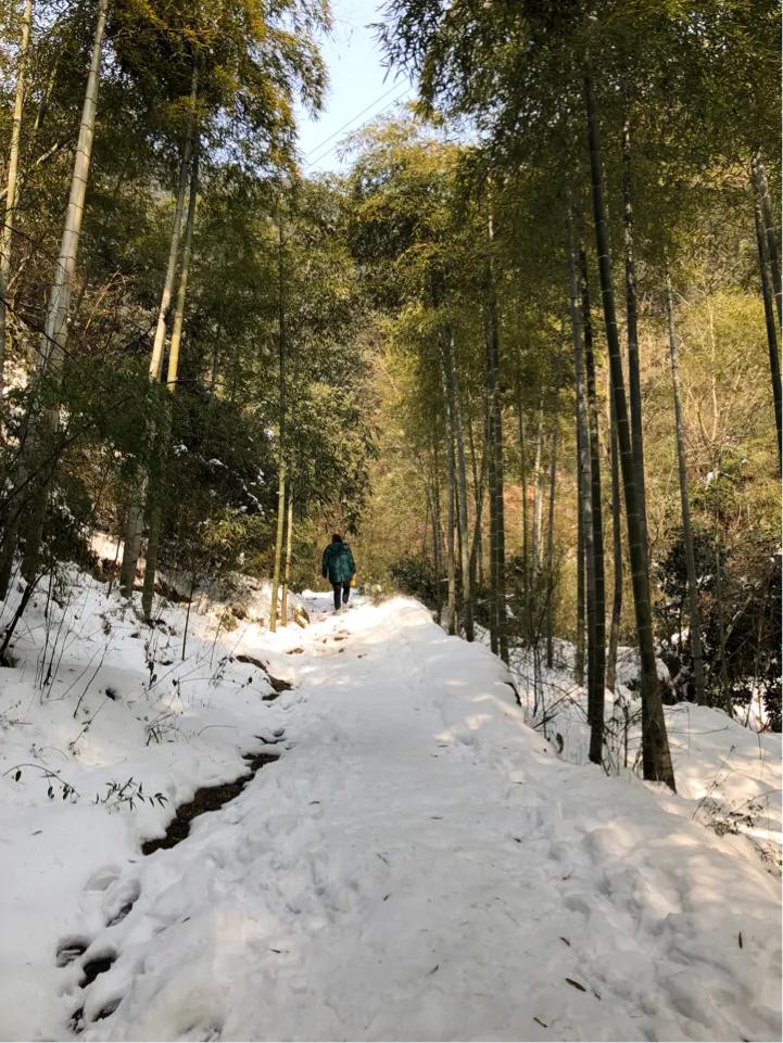 安吉哪里可以看欧洲杯直播:安吉哪里可以看欧洲杯直播的